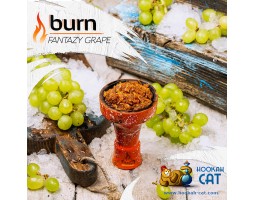 Табак Burn Fantazy Grape (Виноград) 100г Акцизный